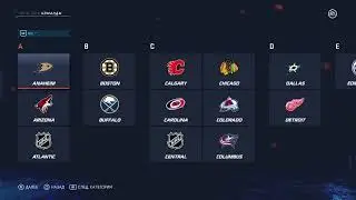 NHL 20 Srenley cup