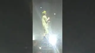 Billie Eilish говорит «спасибо» на русском на концерте в Питере