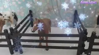 Мой КСК