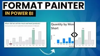 Format Painter in Power BI