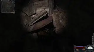 S.T.A.L.K.E.R. Clear Sky. В погоне за Стрелком. (no web/no micro)