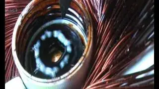 Rotating ferofluid in first magnetic vortex