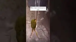 Моё утро начинается так ￼💪