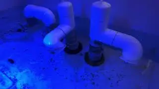 Моя временная передержка Кораллов.  REEF EXCLUSIVE