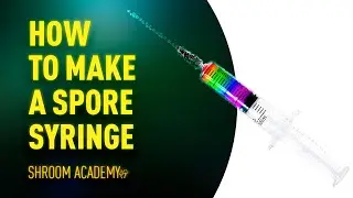 🍄 Shroom Academy How to make a spore syringe with a spore print