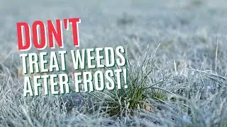LOW TEMPERATURES WILL IMPACT ON WEED CONTROL TREATMENTS!