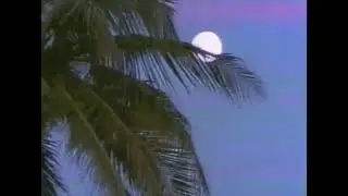 Saturday Nights - Khalid (Slowed + Reverb) - Slowsonance