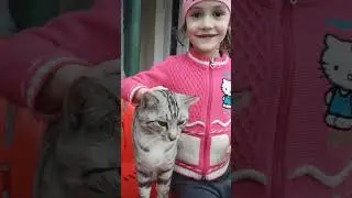 котик - чего ты хочешь?