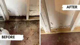 Replacing a rotten wood sill plate frame in a shed