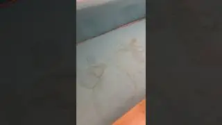 Как химчистка убрала старые пятна с дивана