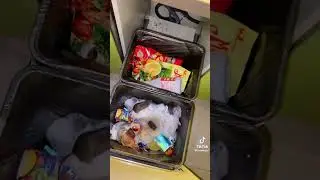 Кто это тут у нас ?