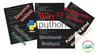 Why will you use Python?