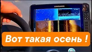 Осенний жОр? Не, не слышал!