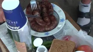 Веселовский в гостях у Сатышева