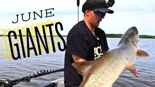 Giant June Musky (Opening weekend struggles)