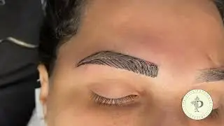 MICROPIGMENTAÇÃO FIO A FIO PASSO A PASSO - Técnica Microblading