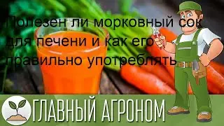 Полезен ли морковный сок для печени и как его правильно употреблять
