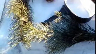 Таёжный чай