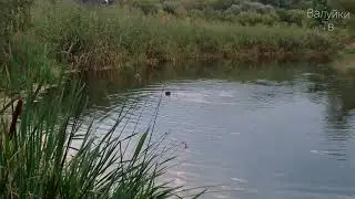 Прогулка вдоль реки Оскол!!!