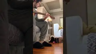Puppy hears music for the first time!  So cute!!!! Must see!!!!!
