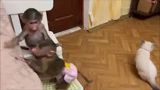 Кот Басик, Степаша и Маняша  в пародии на 