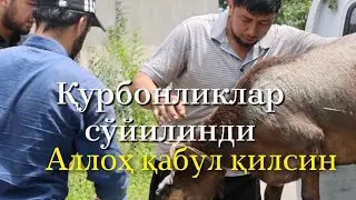 Барча қурбонлик қилганларни қўрбонликларини Аллоҳ қабул қилсин!