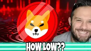 Shiba Inu Coin | How Low Can SHIB Fall?