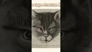Портрет кота, жившего у царя Алексея