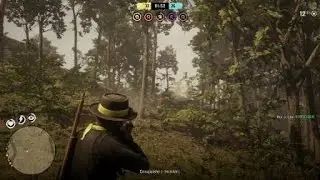 Red Dead Redemption 2 ONLINE PVP Varmint