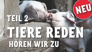Wir fühlen wie du - Teil 2   Tiere reden, hören wir zu!