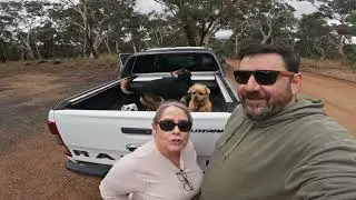 100% Off Grid Homestead Build - Aussie Couple Off Grid!