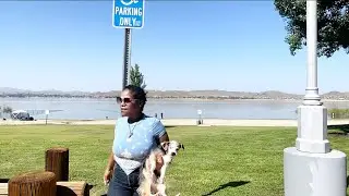 Come go with me || SUV Camping day trip to the park with my dogs
