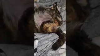 "Юный пенсионер" живёт на бабушкину пенсию....хватает(ему)😅👍✌️...