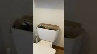 $100 Painting Tip When Painting Around Toilets