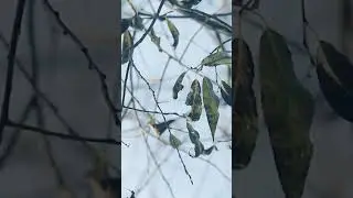En Büyük Gerçeğimiz