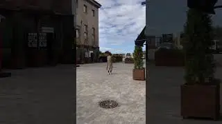 Пришли на выставку Сальвадора дали