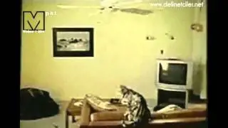Buda Uçan Kedi