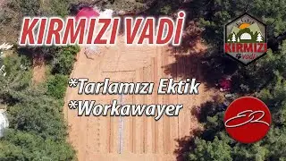 KIRMIZI VADİ | Tarlamızı Ektik - Misafirler Gelmeye Başladı
