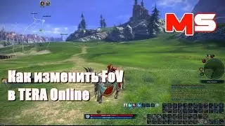 Как изменить угол обзора (FOV) в TERA Online