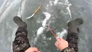 Бешенный клев! Рыбалка на окуня!
