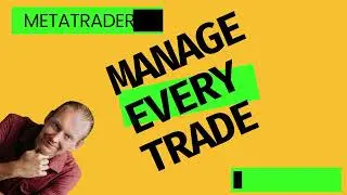 Build Your Own MetaTrader 5 Python Trading Bot: Auto Manage Every Trade