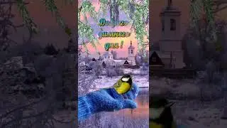 Доброго Зимнего Дня! 💘