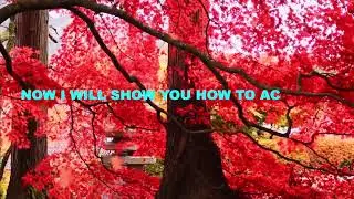 GENSHIN IMPACT CHEAT ENGINE / NEW UPDATE / FREE CHEAT / DOWNLOAD PC 2021