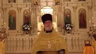 Orthodox Sermon - Love and Compassion: The Good Samaritan