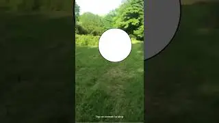 Ball music credit  @WeinerDog107