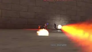 Don't Let Them Capture The Flag