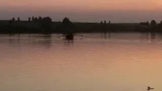 Кормежка Карпа.