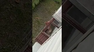 На чиле , на расслабоне #жарти #гумор #прикол