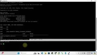 ORA-65093: How to Resolve and Prevent Errors in Oracle Database | Top Solution Revealed! | Quick Fix
