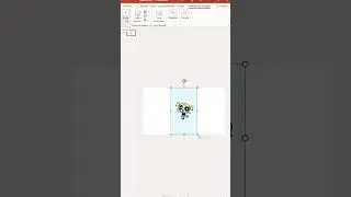 Remove the background from an image with PowerPoint 